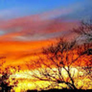 Meet your Posher, Louie